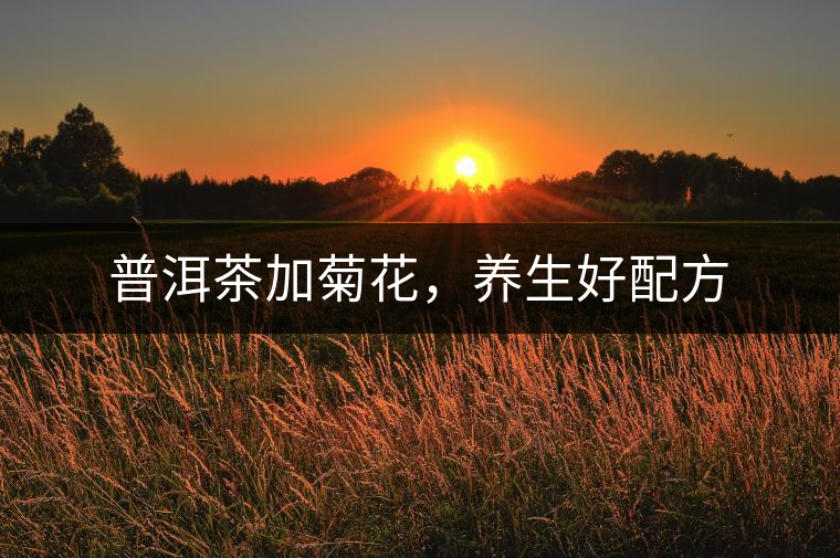 普洱茶加菊花，養(yǎng)生好配方