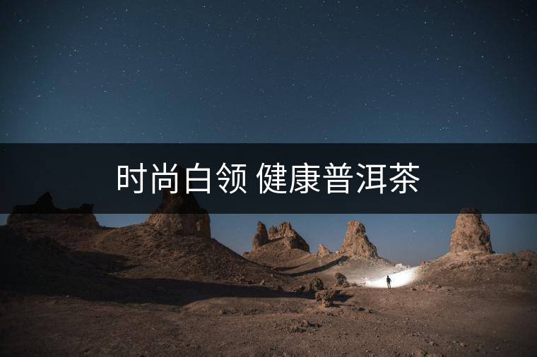 時尚白領(lǐng) 健康普洱茶
