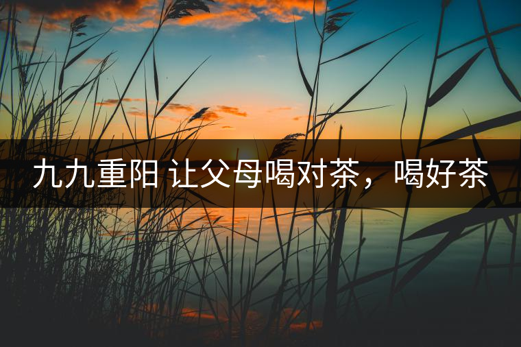九九重陽(yáng) 讓父母喝對(duì)茶，喝好茶