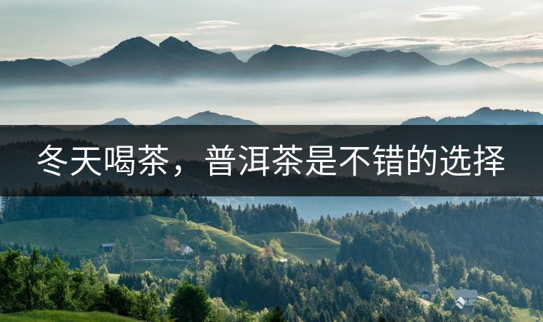 冬天喝茶，普洱茶是不錯的選擇