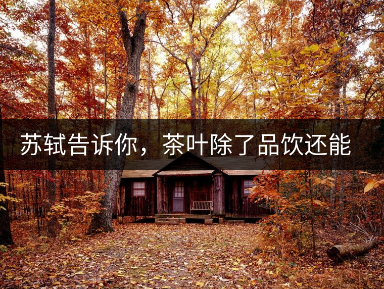 蘇軾告訴你，茶葉除了品飲還能做什么？