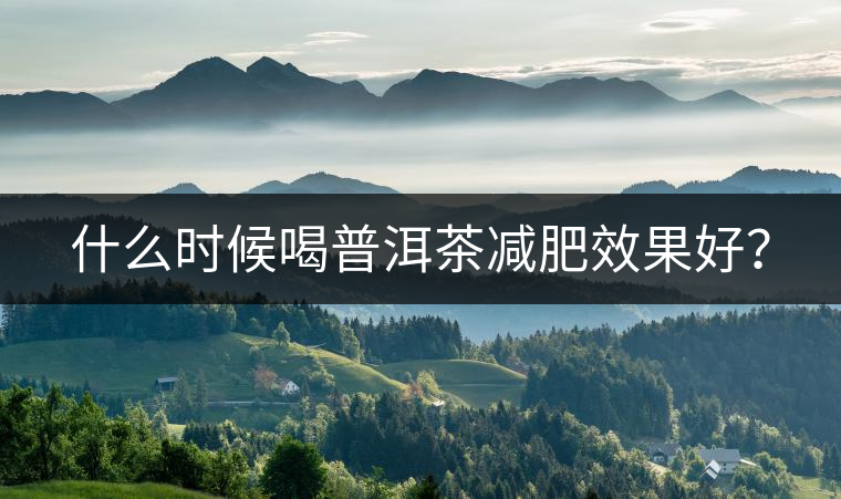 什么時(shí)候喝普洱茶減肥效果好？