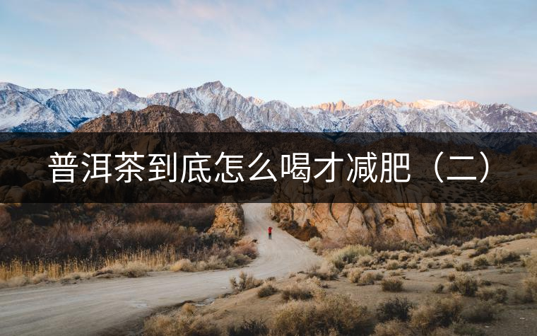 普洱茶到底怎么喝才減肥(二) 普洱茶到底怎么喝才減肥(二)