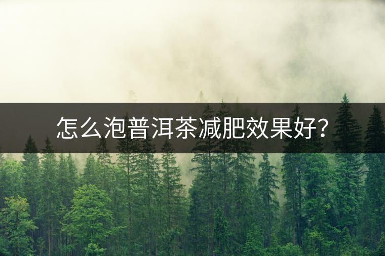 怎么泡普洱茶減肥效果好？