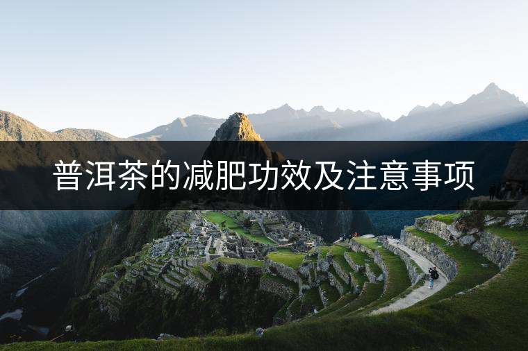 普洱茶的減肥功效及注意事項(xiàng)