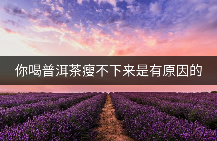 你喝普洱茶瘦不下來是有原因的 你喝普洱茶瘦不下來是有原因的