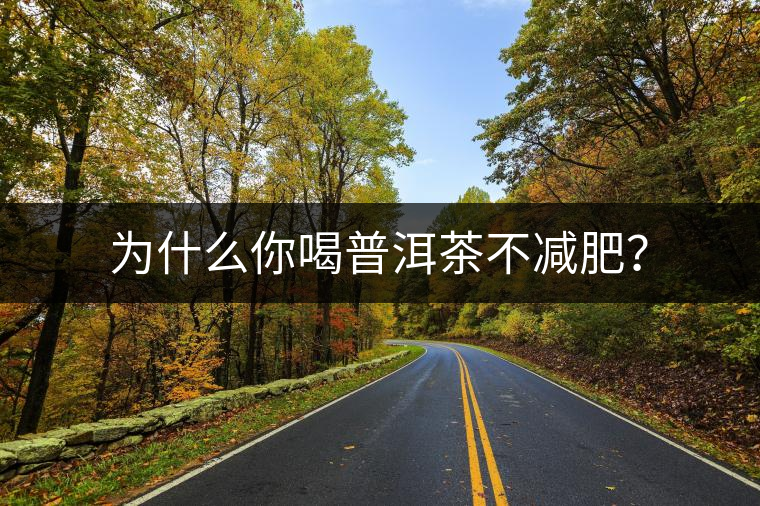 為什么你喝普洱茶不減肥？