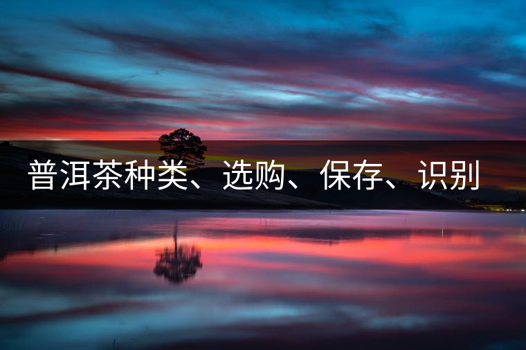 普洱茶種類、選購、保存、識(shí)別、沖泡