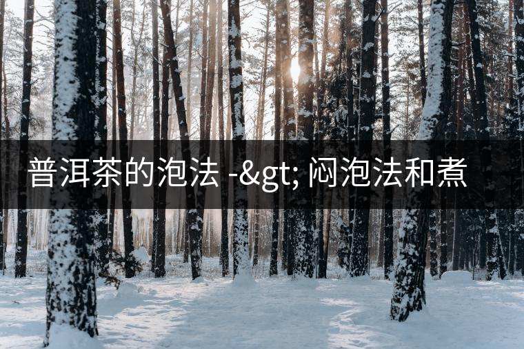普洱茶的泡法 -> 悶泡法和煮茶法 普洱茶的泡法 -> 悶泡法和煮茶法