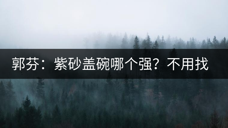 郭芬：紫砂蓋碗哪個(gè)強(qiáng)？不用找藍(lán)翔