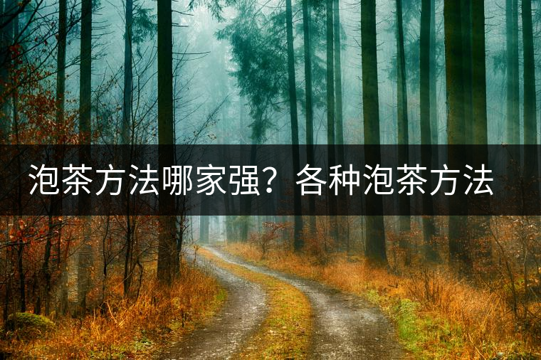 泡茶方法哪家強(qiáng)？各種泡茶方法介紹