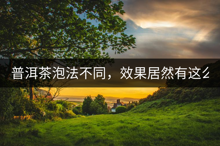 普洱茶泡法不同，效果居然有這么大區(qū)別！