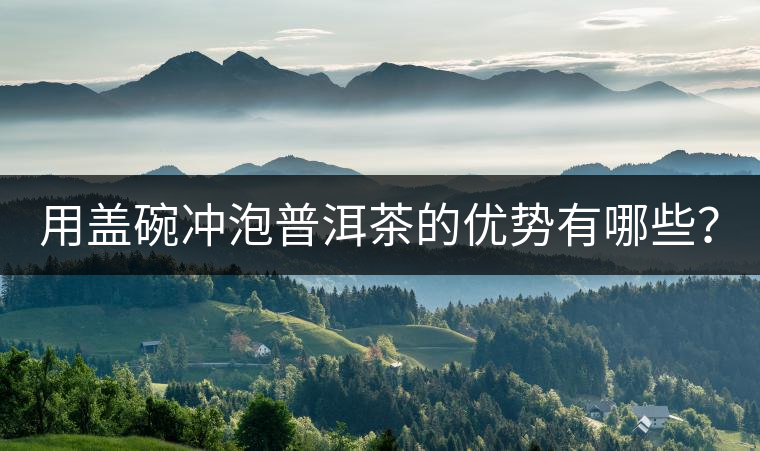 用蓋碗沖泡普洱茶的優(yōu)勢有哪些？