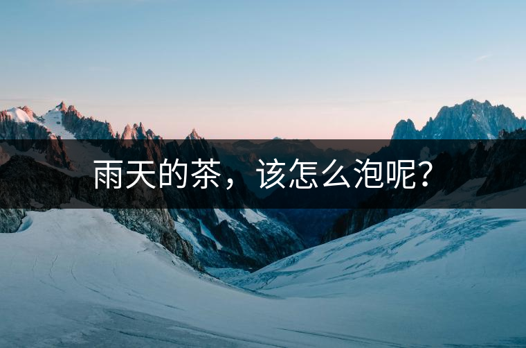 雨天的茶，該怎么泡呢？