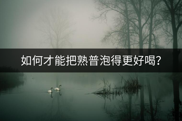 如何才能把熟普泡得更好喝？