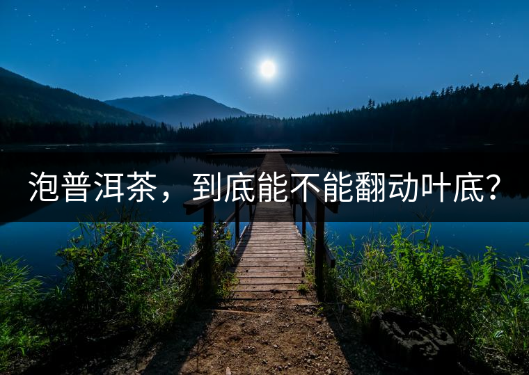 泡普洱茶，到底能不能翻動葉底？