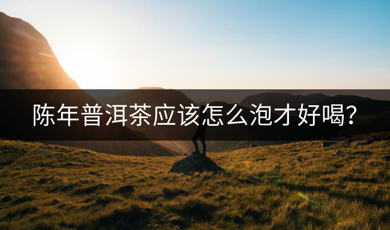 陳年普洱茶應(yīng)該怎么泡才好喝？