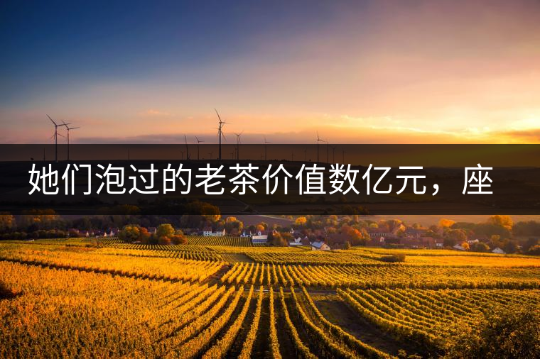 她們泡過的老茶價(jià)值數(shù)億元，座上賓是余秋雨、李云迪……