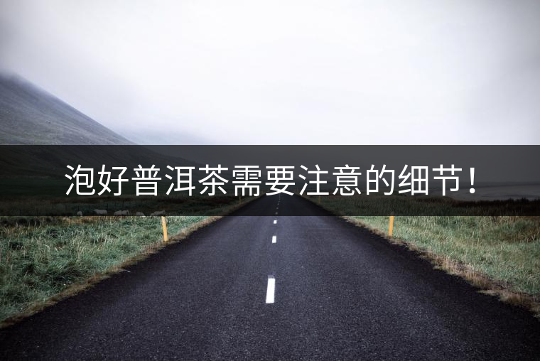 泡好普洱茶需要注意的細(xì)節(jié)！