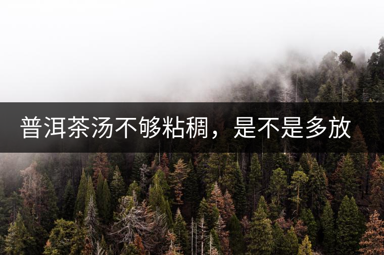 普洱茶湯不夠粘稠，是不是多放些茶葉就好了嗎？