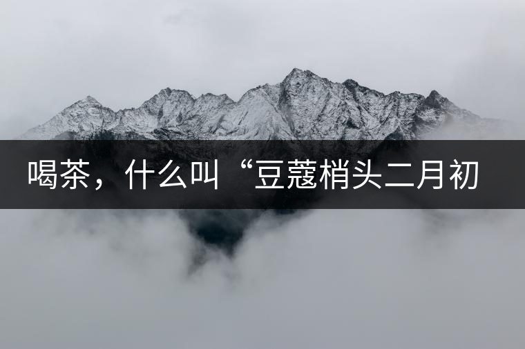 喝茶，什么叫“豆蔻梢頭二月初”？