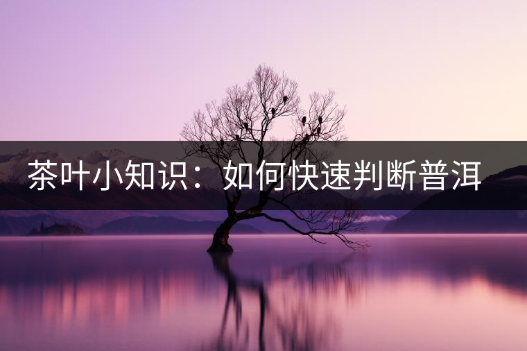 茶葉小知識：如何快速判斷普洱茶品級高低？