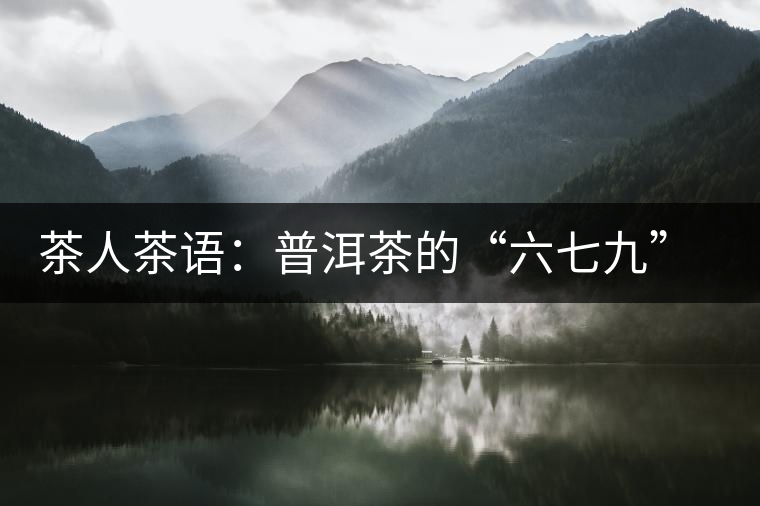 茶人茶語(yǔ)：普洱茶的“六七九” 你知道嗎？