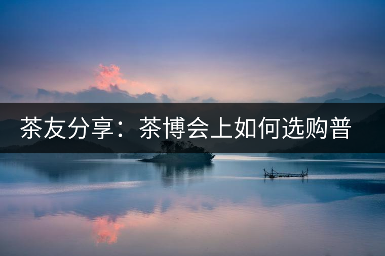 茶友分享：茶博會上如何選購普洱茶？