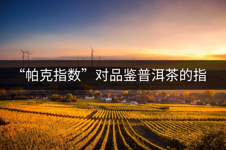 “帕克指數(shù)”對(duì)品鑒普洱茶的指導(dǎo)意義在哪里？「跨界有道」