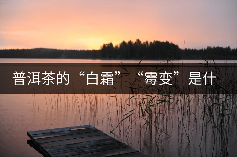 普洱茶的“白霜”“霉變”是什么鬼？