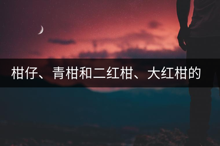 柑仔、青柑和二紅柑、大紅柑的區(qū)別，你可知道？