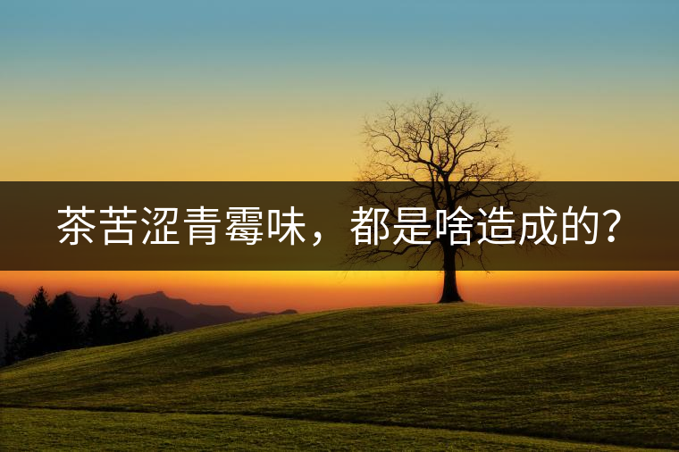 茶苦澀青霉味，都是啥造成的？