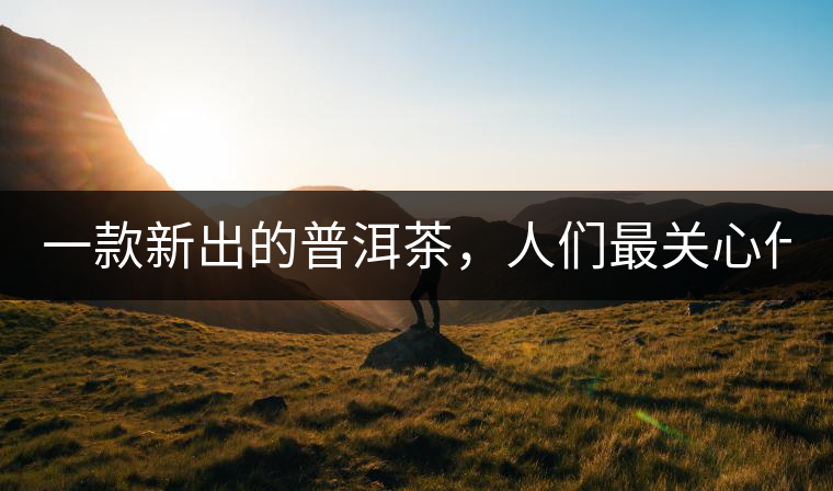 一款新出的普洱茶，人們最關(guān)心什么?