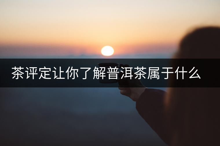 茶評定讓你了解普洱茶屬于什么茶系？