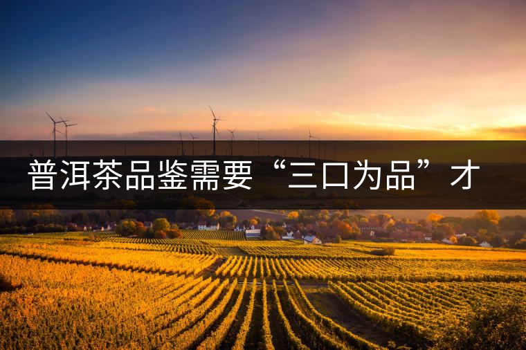 普洱茶品鑒需要“三口為品”才真實(shí)，那從哪里入手品鑒呢？