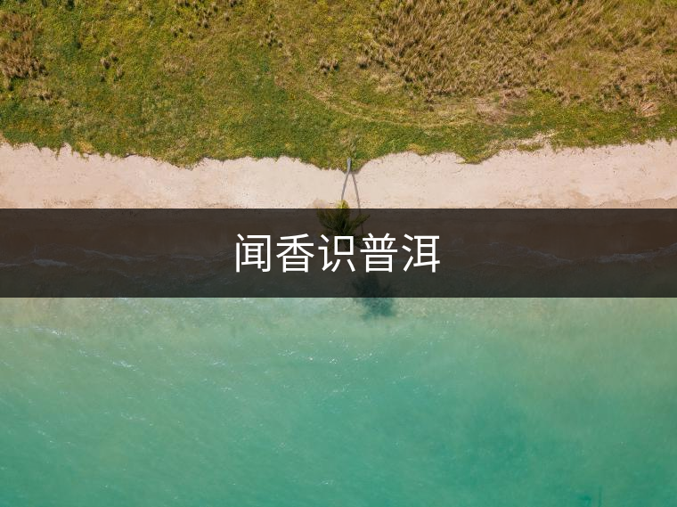 聞香識(shí)普洱 聞香識(shí)普洱