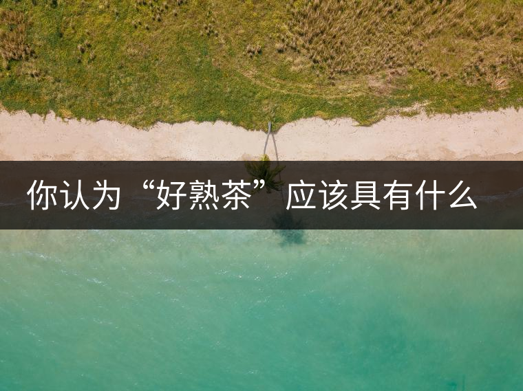 你認(rèn)為“好熟茶”應(yīng)該具有什么樣的標(biāo)準(zhǔn)？