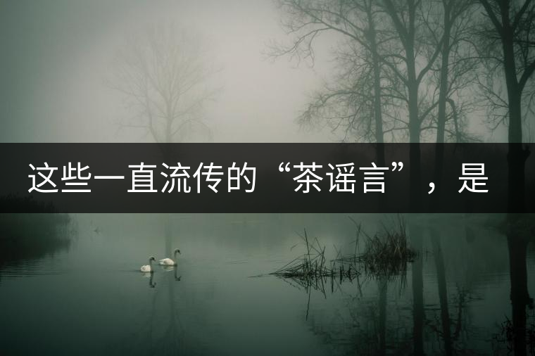 這些一直流傳的“茶謠言”，是時候知道真相了