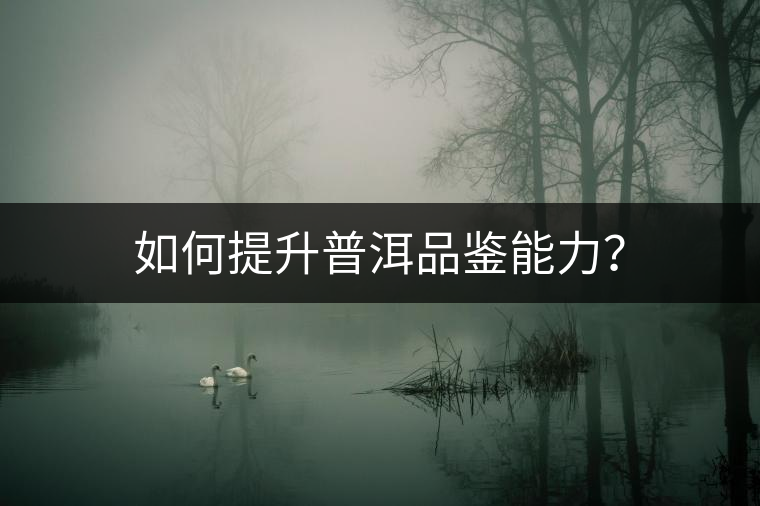 如何提升普洱品鑒能力？