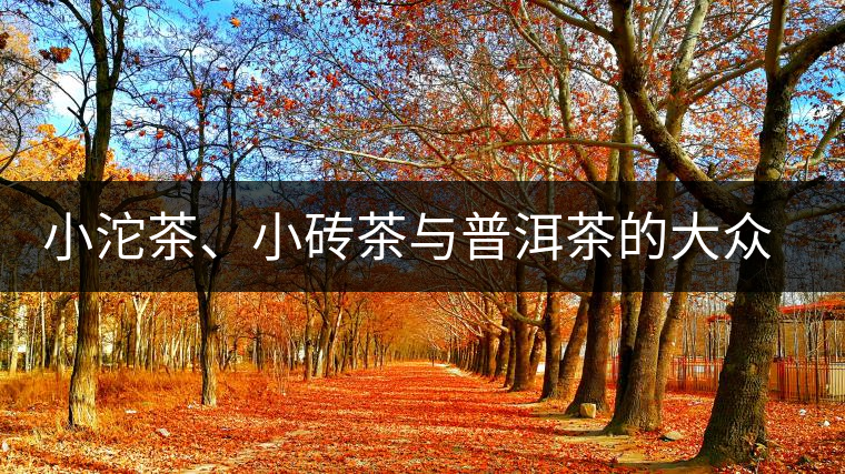 小沱茶、小磚茶與普洱茶的大眾化之路