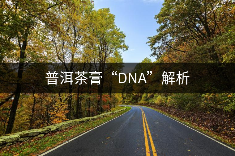 普洱茶膏“DNA”解析