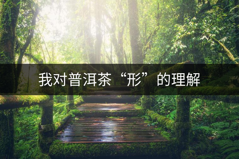 我對(duì)普洱茶“形”的理解 我對(duì)普洱茶“形”的理解