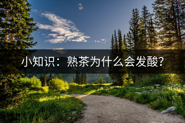 小知識：熟茶為什么會發(fā)酸？