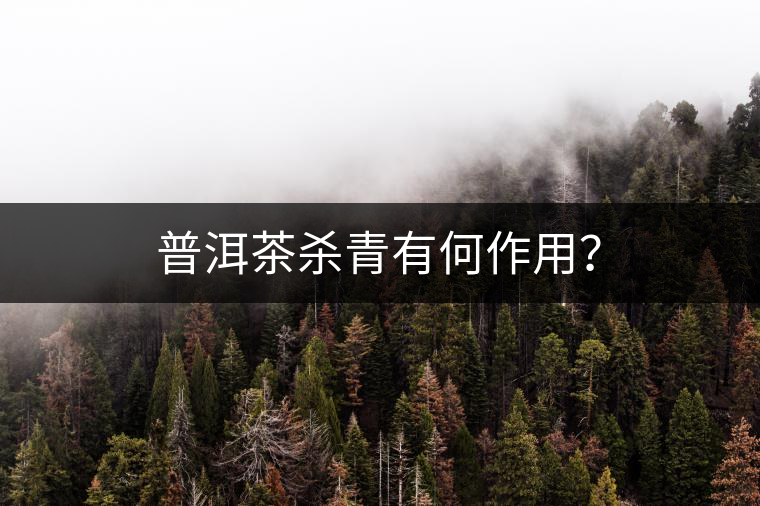 普洱茶殺青有何作用？