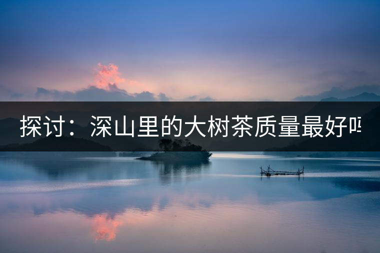 探討：深山里的大樹茶質(zhì)量最好嗎？