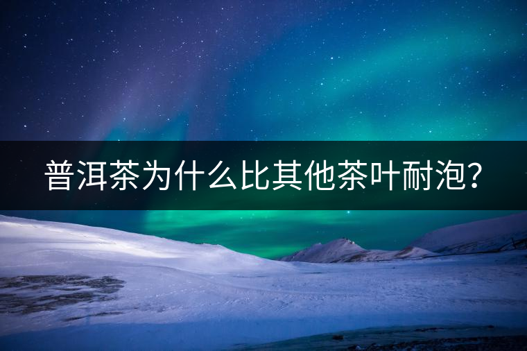 普洱茶為什么比其他茶葉耐泡？