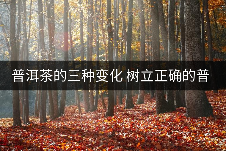 普洱茶的三種變化 樹立正確的普洱茶觀 普洱茶的三種變化 樹立正確的普洱茶觀