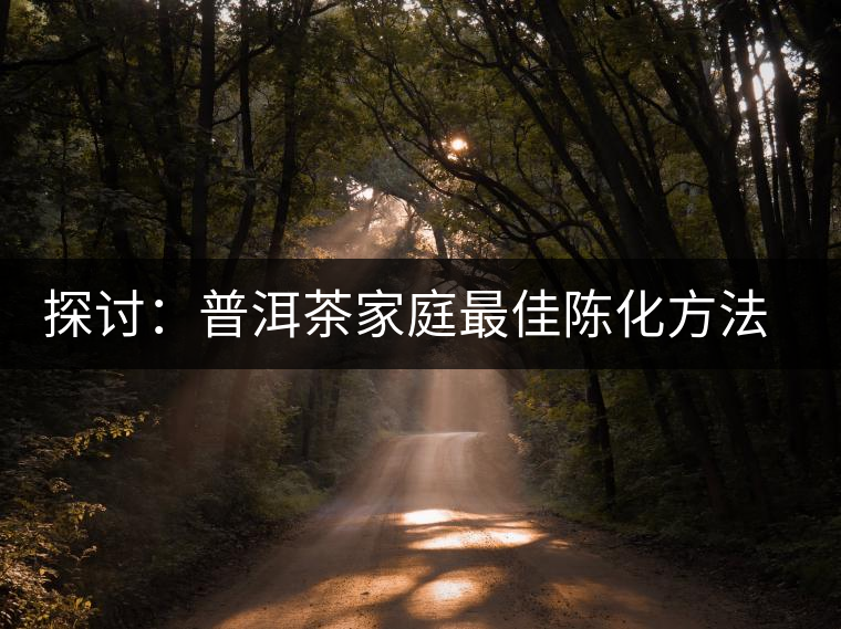 探討:普洱茶家庭最佳陳化方法的猜測 探討:普洱茶家庭最佳陳化方法的猜測