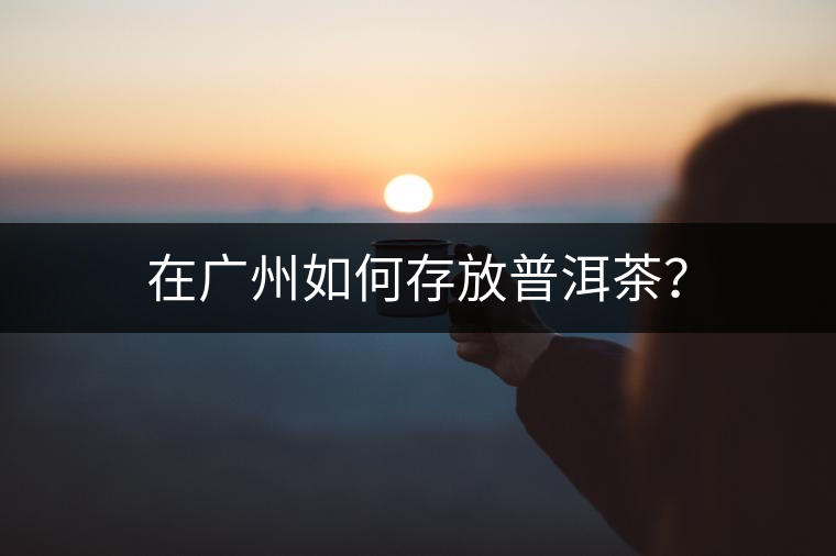 在廣州如何存放普洱茶？