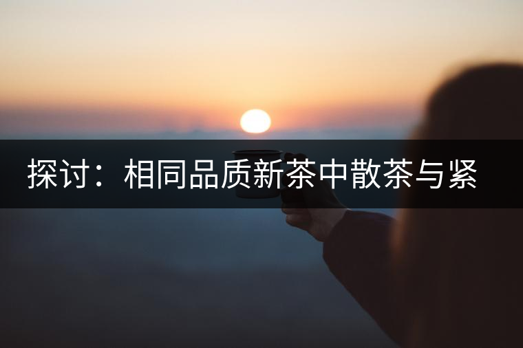 探討：相同品質(zhì)新茶中散茶與緊壓茶哪個好？